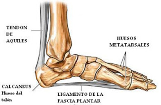 Zapatillas casa hotsell pies hinchados